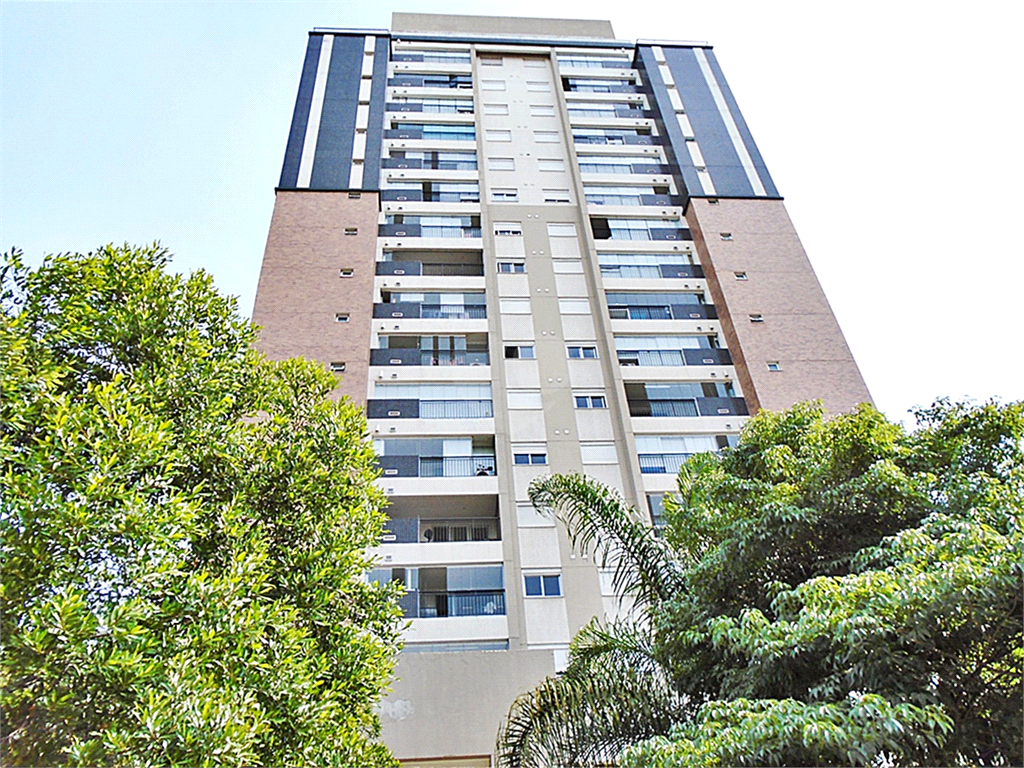 Aluguel Apartamento São Paulo Santana REO1035008 1