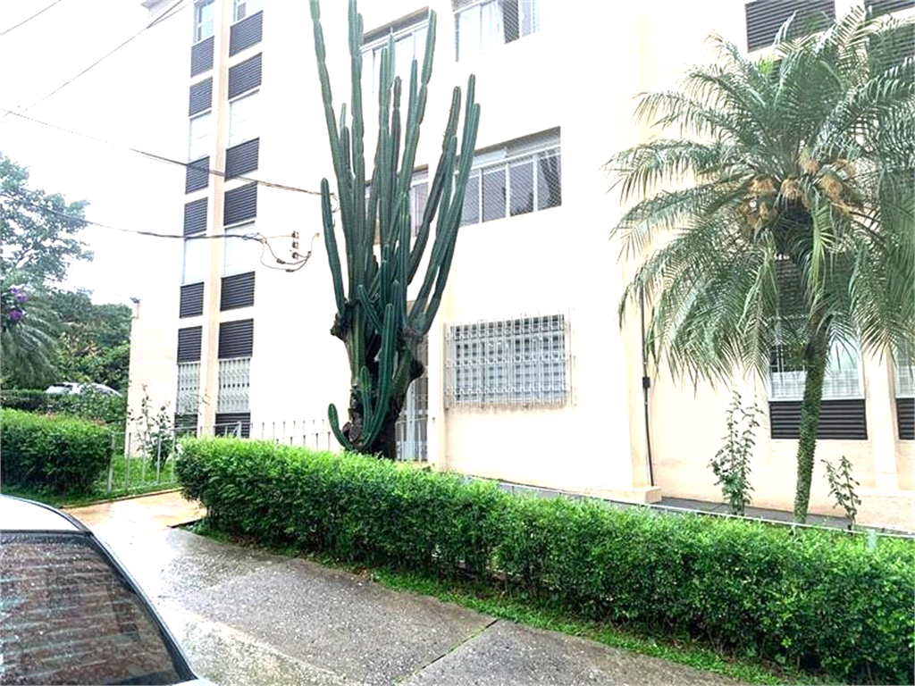 Venda Apartamento São Paulo Vila Hamburguesa REO1035011 37