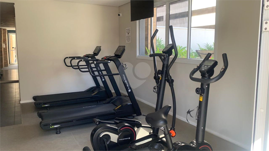 Venda Apartamento Campinas Centro REO1035016 35