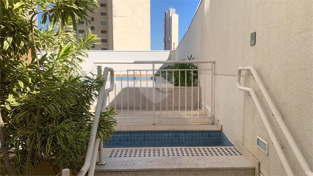 Venda Apartamento Campinas Centro REO1035016 33