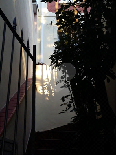 Foto REO103506