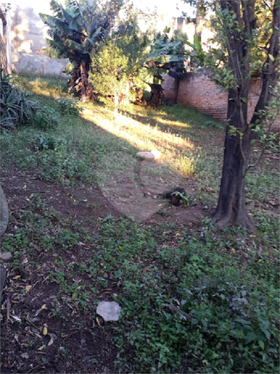 Foto REO103506