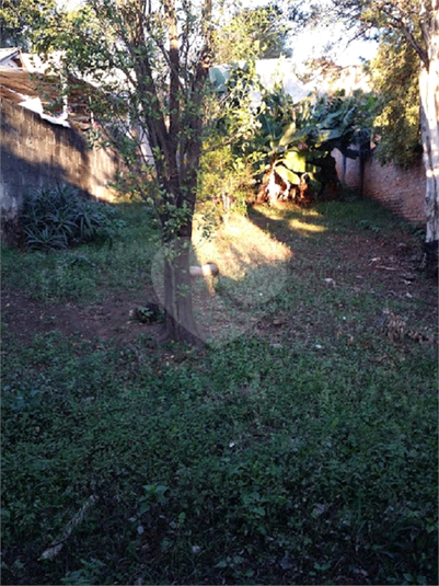 Foto REO103506