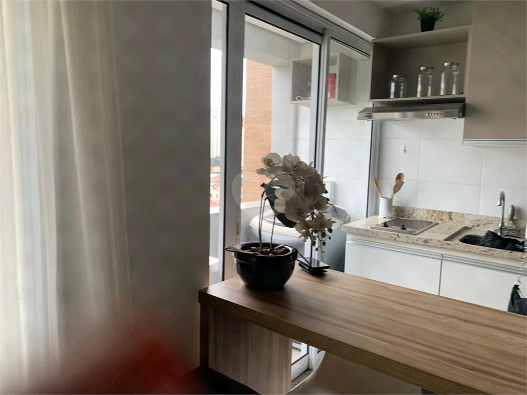 Aluguel Apartamento São Paulo Campo Belo REO1035081 4