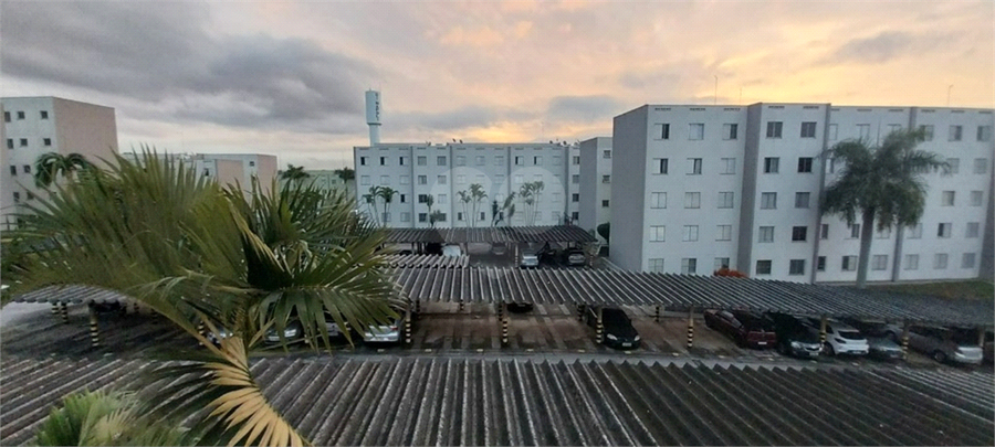 Foto REO1035114