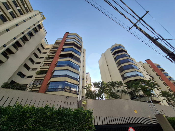 Foto REO1035197