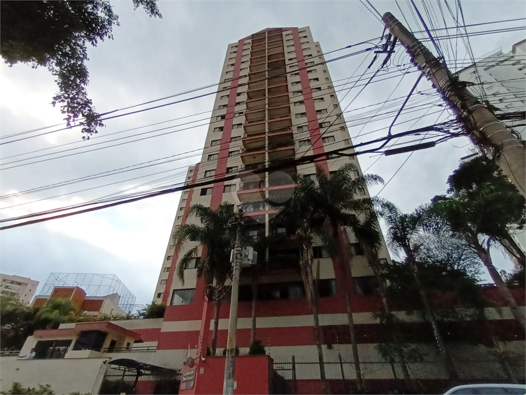 Aluguel Apartamento São Paulo Parque Residencial Julia REO1035218 33