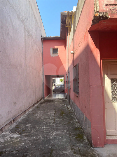 Foto REO1035241