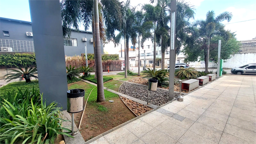 Foto REO1035265