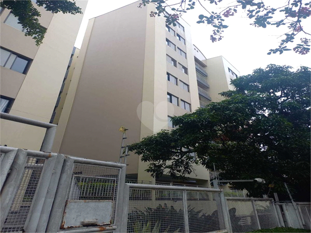 Aluguel Apartamento São Paulo Alto De Pinheiros REO1035389 29