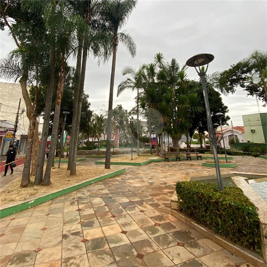 Foto REO1035420
