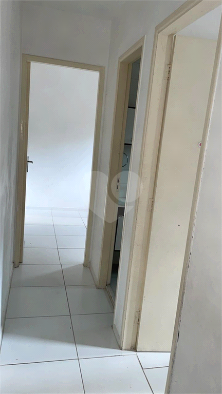 Venda Apartamento São Paulo Vila Roque REO1035479 7