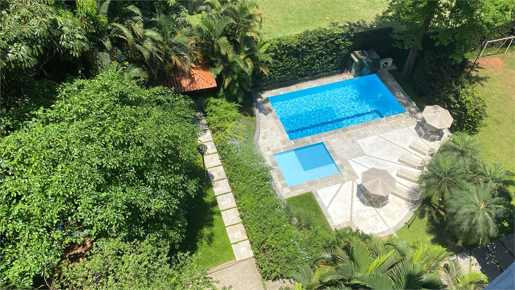 Aluguel Apartamento São Paulo Vila Progredior REO1035501 16