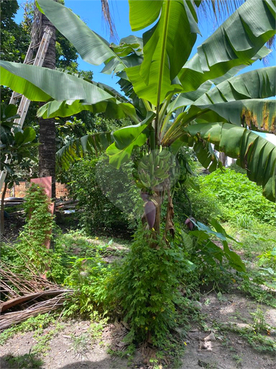 Venda Chácara Sinop Jardim Boa Esperança REO1035505 13