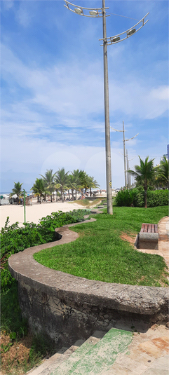 Foto REO1035517