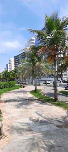 Foto REO1035517