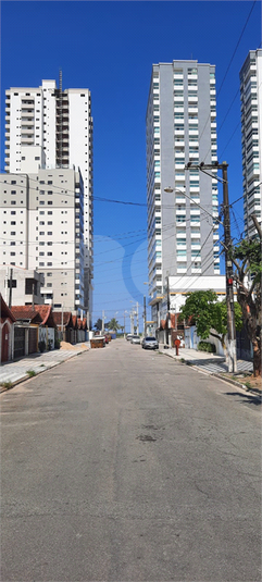 Foto REO1035517