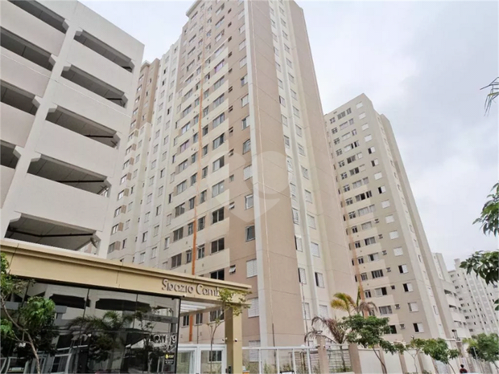 Venda Apartamento São Paulo Jardim Íris REO1035621 12