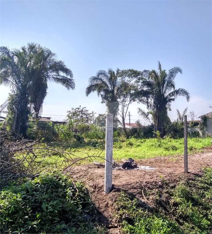 Venda Terreno Peruíbe Jardim Somar REO1035626 7