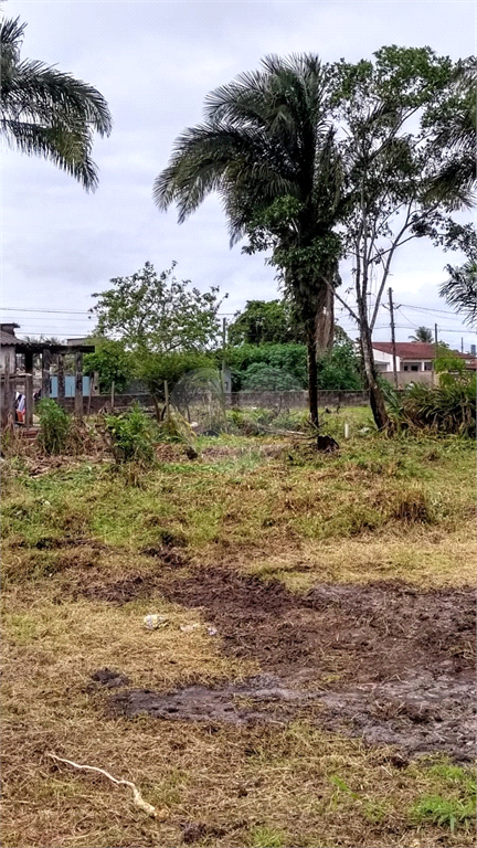 Venda Terreno Peruíbe Jardim Somar REO1035626 5