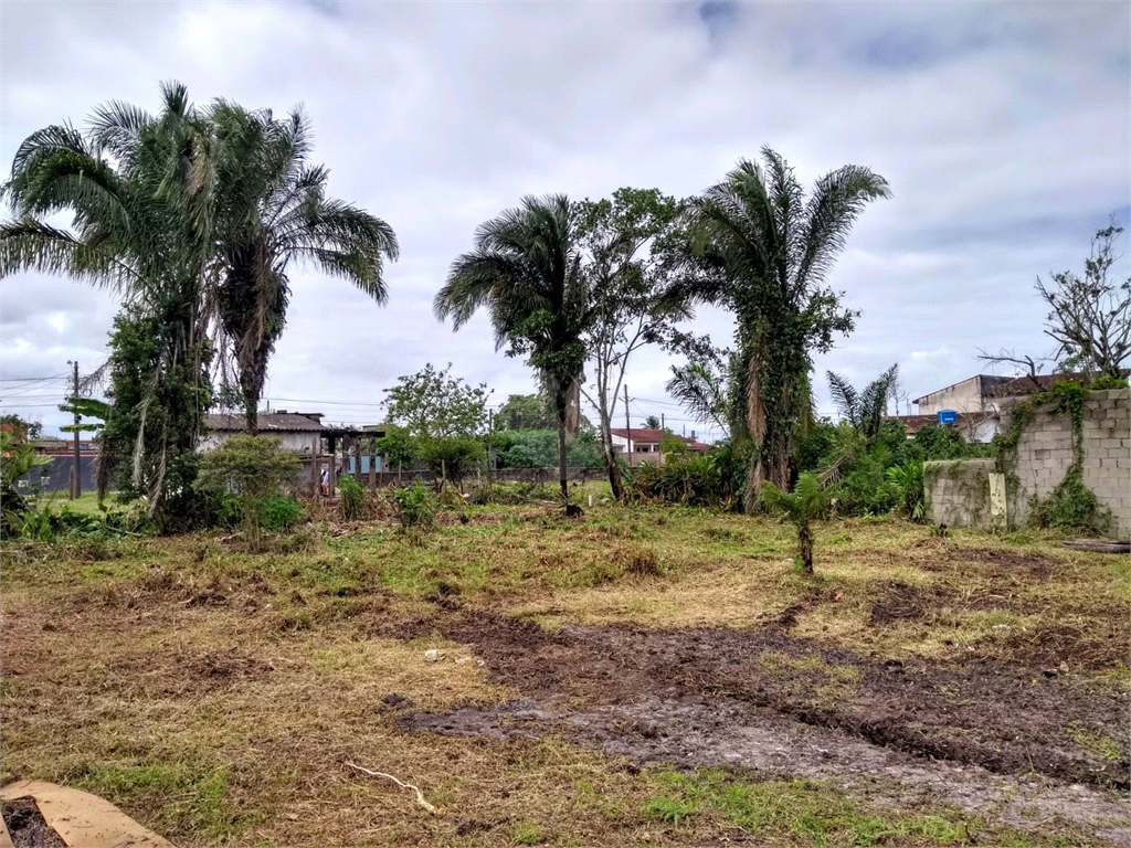 Venda Terreno Peruíbe Jardim Somar REO1035626 6