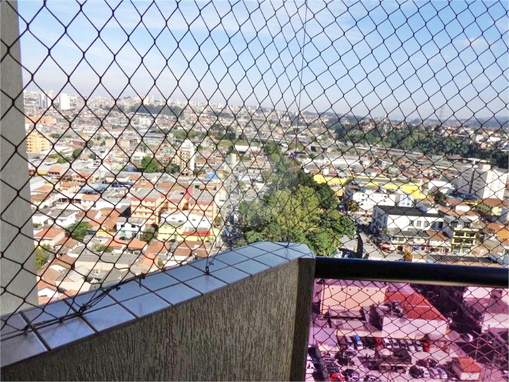 Foto REO1035653