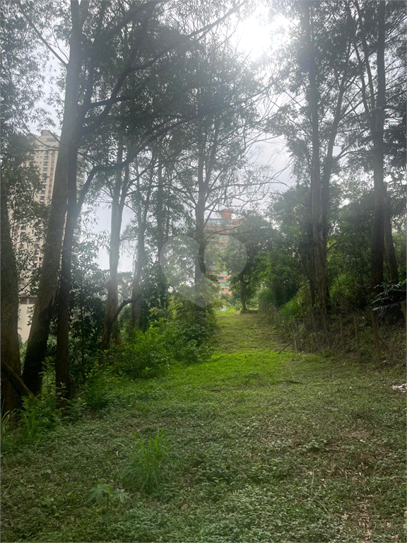 Venda Terreno São Paulo Paraíso Do Morumbi REO103589 4