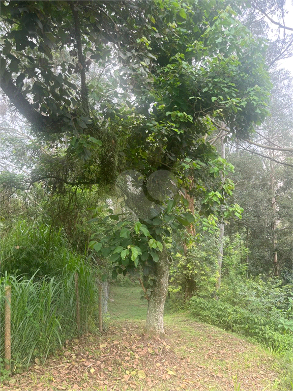 Venda Terreno São Paulo Paraíso Do Morumbi REO103589 3