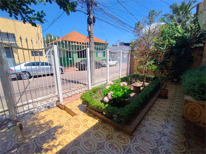 Foto REO1035941