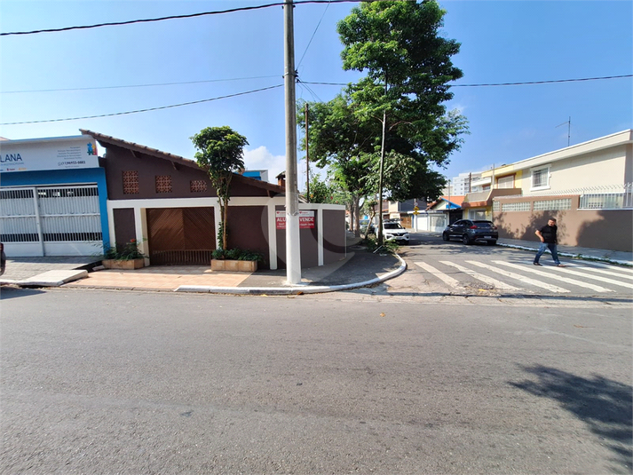 Foto REO1036001