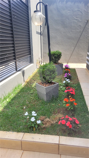 Foto REO1036057