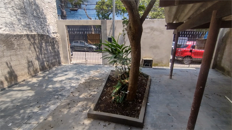 Foto REO1036126