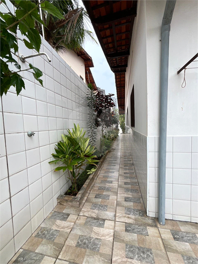 Foto REO1036128