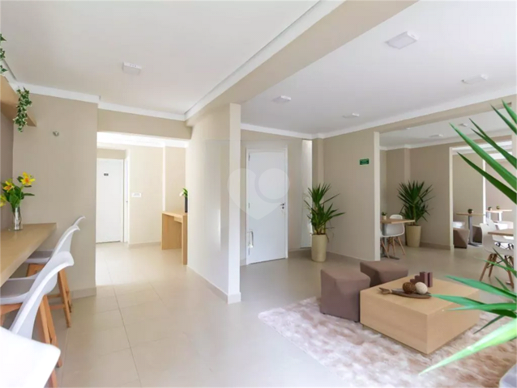 Venda Apartamento São Paulo Jardim Celeste REO1036136 37