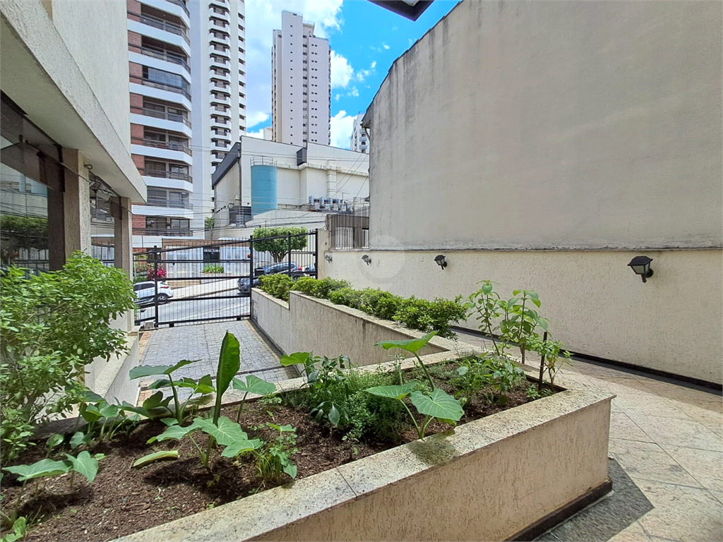 Venda Apartamento São Paulo Jardim São Paulo(zona Norte) REO1036200 2