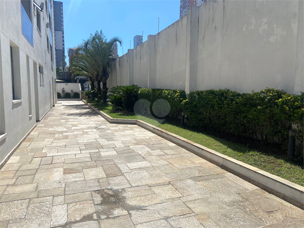 Aluguel Apartamento São Paulo Vila Azevedo REO1036208 37