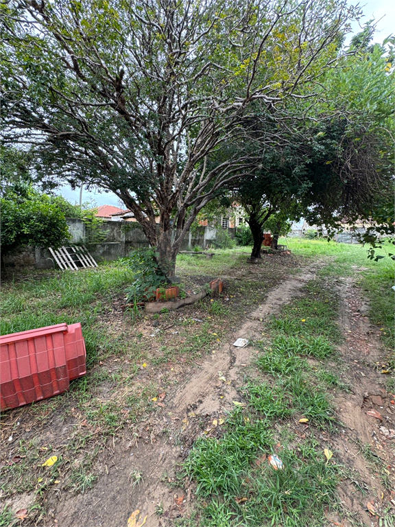 Venda Terreno Porto Feliz Vila Progresso REO1036253 16