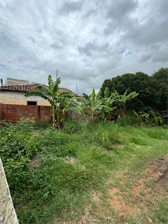 Venda Terreno Porto Feliz Vila Progresso REO1036253 13