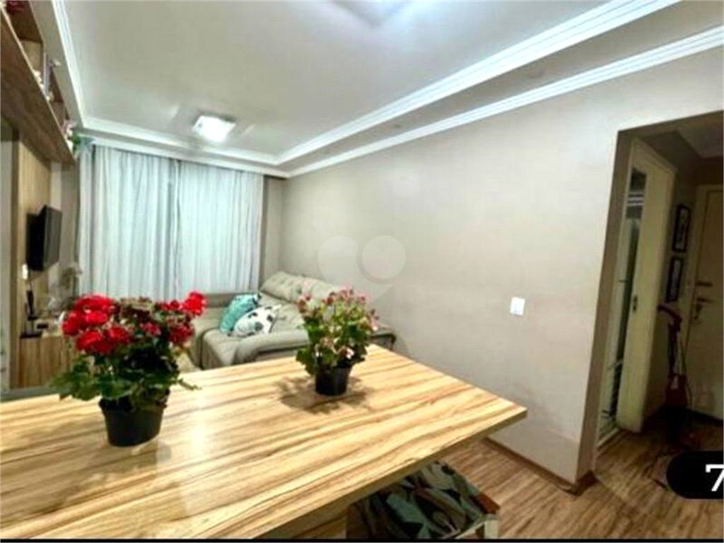 Venda Apartamento Sorocaba Jardim Vera Cruz REO1036263 4