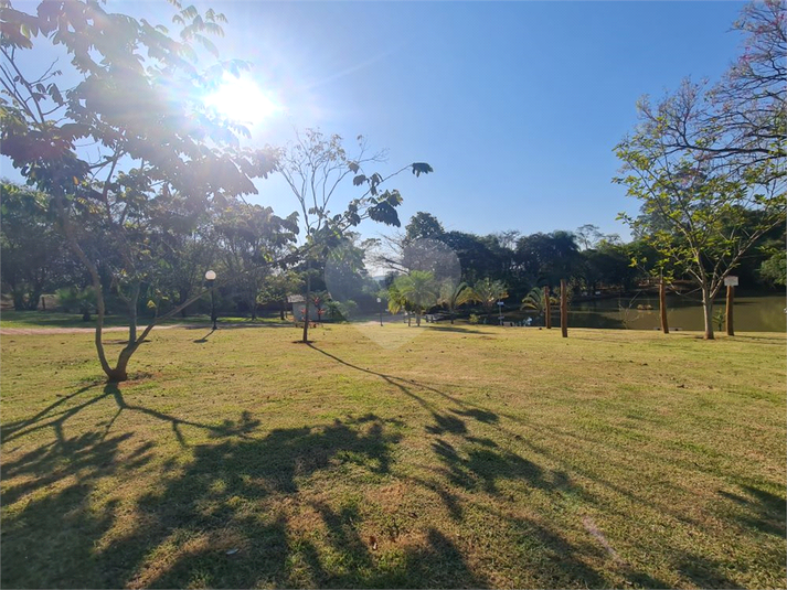 Foto REO1036380