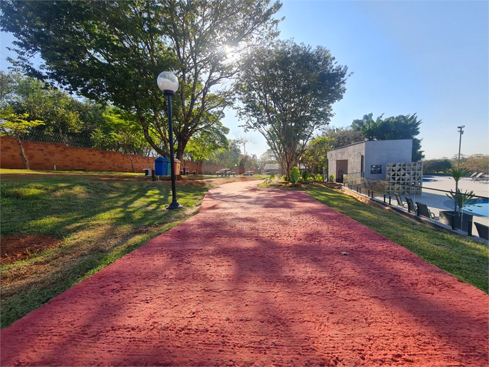 Foto REO1036380