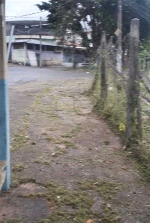 Venda Terreno Campinas Jardim Nilópolis REO1036385 9