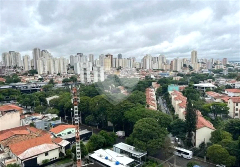 Foto REO1036388