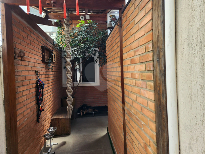 Foto REO1036417
