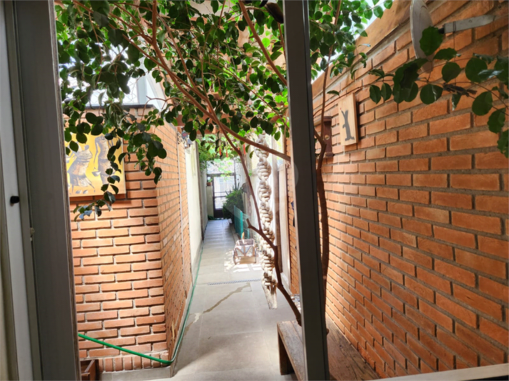 Foto REO1036417