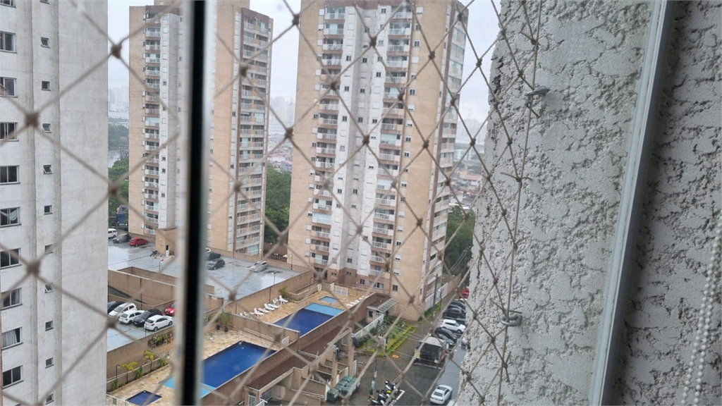 Aluguel Apartamento São Paulo Sítio Da Figueira REO1036435 17