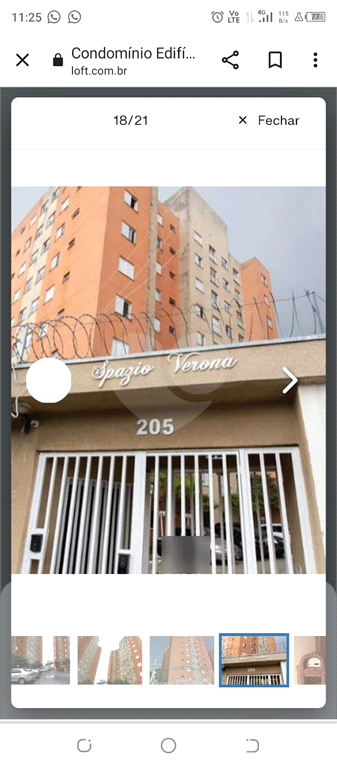 Venda Apartamento Guarulhos Vila Flórida REO1036560 13