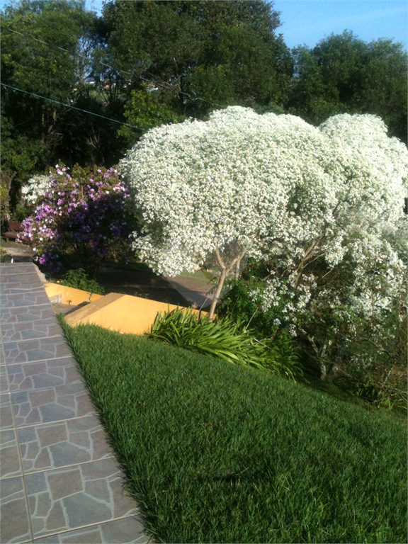 Venda Sítio Vinhedo Monte Alegre REO1036760 18