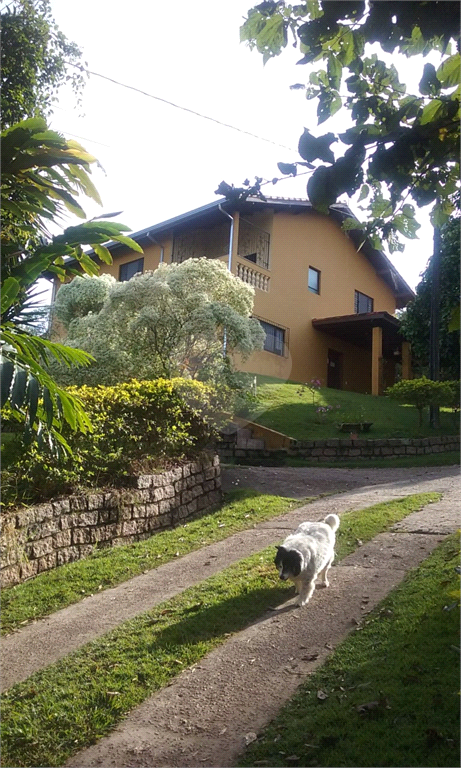 Venda Sítio Vinhedo Monte Alegre REO1036760 1