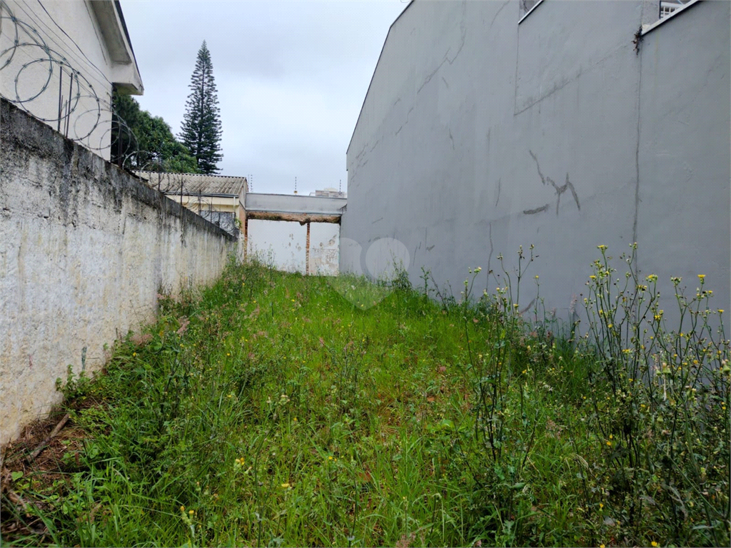 Venda Terreno São Paulo Vila Lúcia REO1036788 7